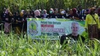 Begini Dukungan dari Petani Tebu di Pulau Sumatera untuk Ganjar