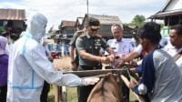 Sigap, Danrem 044/Gapo Pastikan Hewan Bebas PMK di Wilayah OKI Jelang Idul Adha