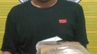 Timsus Polres Padangsidimpuan Sukses Gagalkan Peredaran Hampir 3 Kg Ganja