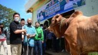 Salurkan Sapi Kurban ke Sejumlah Masjid, Herman Deru:  Idul Adha Momen Tepat untuk Saling Berbagi