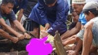 Serahkan Hewan Qurban, Wabup Kapuas Hulu Katakan Ini