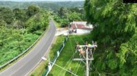 Pemeliharaan Rekonstruksi dan Right of Way Jaringan Tegangan Menengah 20 kV, Salah Satu Ipaya Preventif Jaga Keandalan Listrik