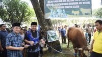 Berbagi di Hari Raya Idul Adha 1444 H, Gubernur Herman Deru Serahkan Sapi Qurban ke Sejumlah Masjid