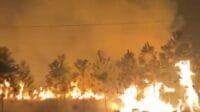 Kebakaran Lahan Basah: Mengungkap Ancaman di Balik Kabut Asap