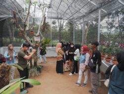 Hari Konservasi Alam Nasional, Pertamina Kuatkan Ekosistem Flora Fauna di Sumbagsel