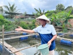 Transformasi Bekas Galian C: Pertamina Ciptakan Program Budidaya Ikan Air Tawar Berkelanjutan di Kampung Kreatif Sugihwaras
