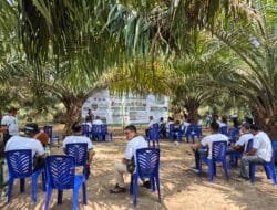 Field Trip IPS DPW Sumsel: Menggali Potensi Benih Unggul D x P Sriwijaya untuk Sawit Berkelanjutan