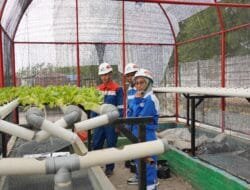 Kolaborasi dengan Mitra Binaan, Ketua Sahabat Farm Melepas 200 Ekor Lele untuk Dikembangkan Pekerja Pertamina di Rumah Pembibitan