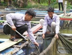 Muda dan Berdaya: Kelompok Pemuda Tani Millenial, Regenerasi Local Hero dalam Budidaya Ikan Air Tawar Berkat Pendampingan Pertamina