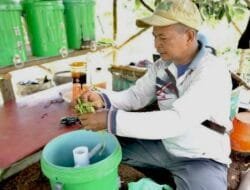 Pertamina Tingkatkan Produktivitas Petani dengan Metode Pertanian Organik Melalui Program Sinergi Semambu
