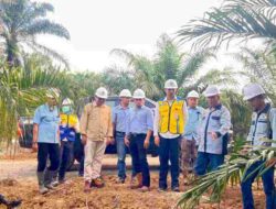 Inovasi Kemitraan Kebun Plasma PT Sampoerna Agro Tbk Jadi Rujukan Kementerian PUPR