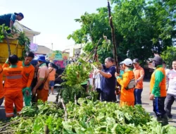 Pj Bupati Sandi Fahlepi, Turun ke Lokasi Tinjau Pohon Tumbang