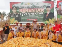 Plt. Kepala Kejaksaan Negeri Musi Rawas Hadiri Panen Raya Jagung Tahap II di Desa Air Satan
