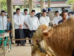 Warga Muba Sembelih Sapi Presiden Prabowo, Beratnya 802,5 Kg