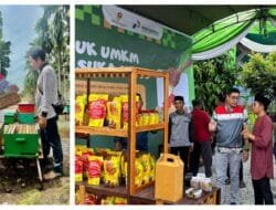 Agrosociopreneurship PHE Jambi Merang yang Mengubah Wajah Desa