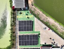 PT Bukit Asam Catat Kinerja Moncer, Perkuat Hilirisasi dan Kepedulian Sosial