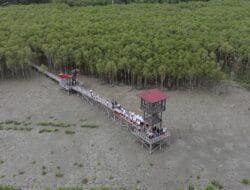 Mangrove, Karbon, dan Mimpi Besar “Green Aluminium” INALUM