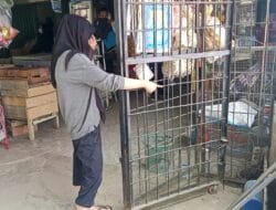 Aksi Pencurian Dini Hari Resahkan Warga, Toko Kelontong di Sukarame Dibobol Komplotan Bermobil