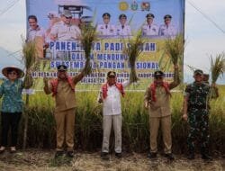 Wagub Sumut: Infra Struktur, Pembiayaan, dan Teknologi Kunci Kesejahteraan Petani