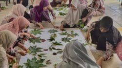 SENJA KARSA, Ikhtiar PEP Jambi Menjaga Asa Lansia Desa Kota Karang Tetap Menyala