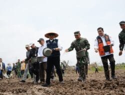 Perkuat Posisi Lumbung Pangan Nasional, Gubernur Herman Deru Pimpin Tanam Padi Serentak di Banyuasin