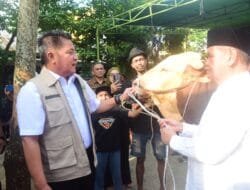 Herman Deru Titip Pesan Kepedulian Saat Serahkan Sapi Kurban 1,3 Ton untuk Masjid Agung Palembang