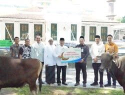 Iduladha 1447 H, Bank Sumsel Babel Salurkan Hewan Kurban untuk Masyarakat di Sumsel dan Babel