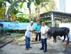 PLN UID S2JB Sembelih 17 Hewan Kurban, Bagikan Daging untuk Warga Sekitar