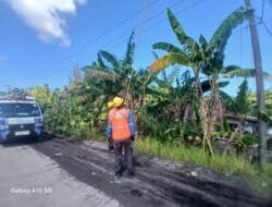 Hadapi Cuaca Ekstrem, PLN Bengkulu Intensifkan Pemangkasan Pohon di Sekitar Jaringan Listrik
