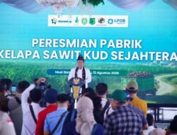 Muba Ukir Tonggak Sejarah, Pabrik Sawit Koperasi Jadi Model Indonesia