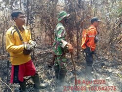 Hotspot Terdeteksi Satelit, Bupati HM Toha Tohet Instruksikan Tim Langsung Turun ke Lapangan