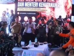 Satgas Darat Diperkuat, BNPB Pastikan Karhutla Sumsel Tak Boleh Kendur