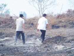 Bupati Muba Dampingi Gubernur Sumsel Tinjau Karhutla di Lais