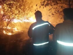 Dua Hari, Karhutla Lahap 11,5 Hektare Lahan di Muba