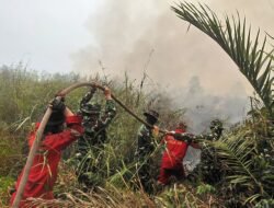Dandim Muba Pimpin Perjuangan Padamkan Karhutla, Warga Ikut Turun Tangan