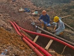 Karhutla Tanjung Api-Api Rusak Kabel Tanah PLN, Tim Bergerak Pulihkan Jaringan