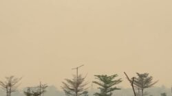 Bernapas Itu Hak, Bukan Bonus Musim Hujan